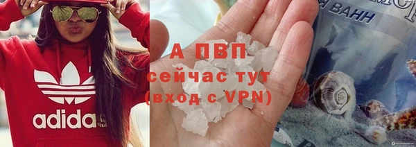 молекула духа Ладушкин