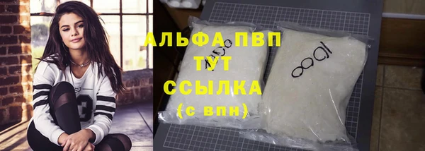 молекула духа Ладушкин