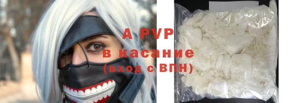 винт Лагань