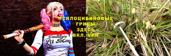 ECSTASY Лабытнанги