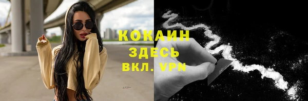 молекула духа Ладушкин