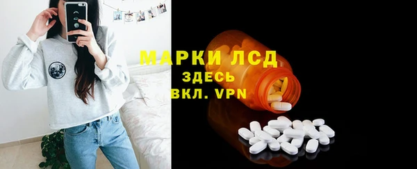 молекула духа Ладушкин