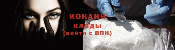 винт Лагань