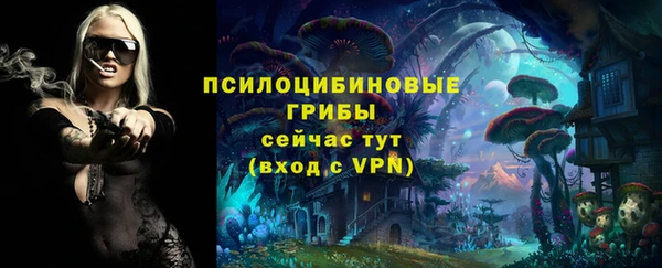 молекула духа Ладушкин
