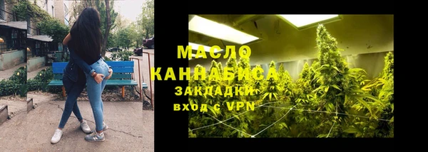 винт Лагань