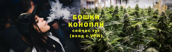 винт Лагань