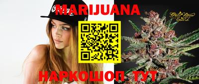 apvp Гатчина