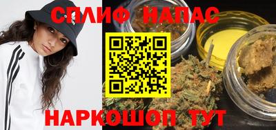 apvp Гатчина
