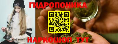 apvp Гатчина