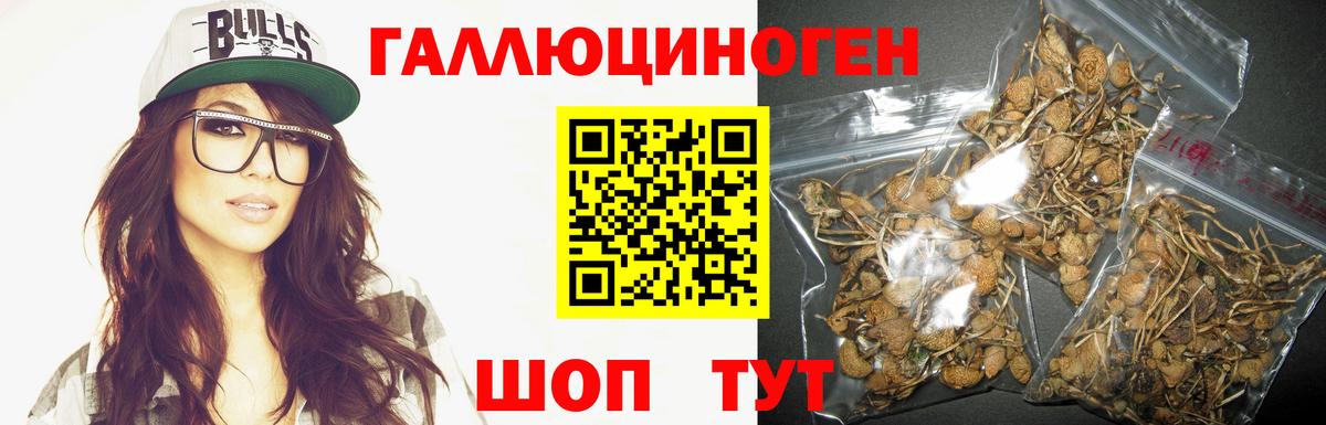 закладки  Вход с VPN  Саров  Псилоцибиновые грибы мухоморы  Псилоцибиновые грибы Psilocybine cubensis 